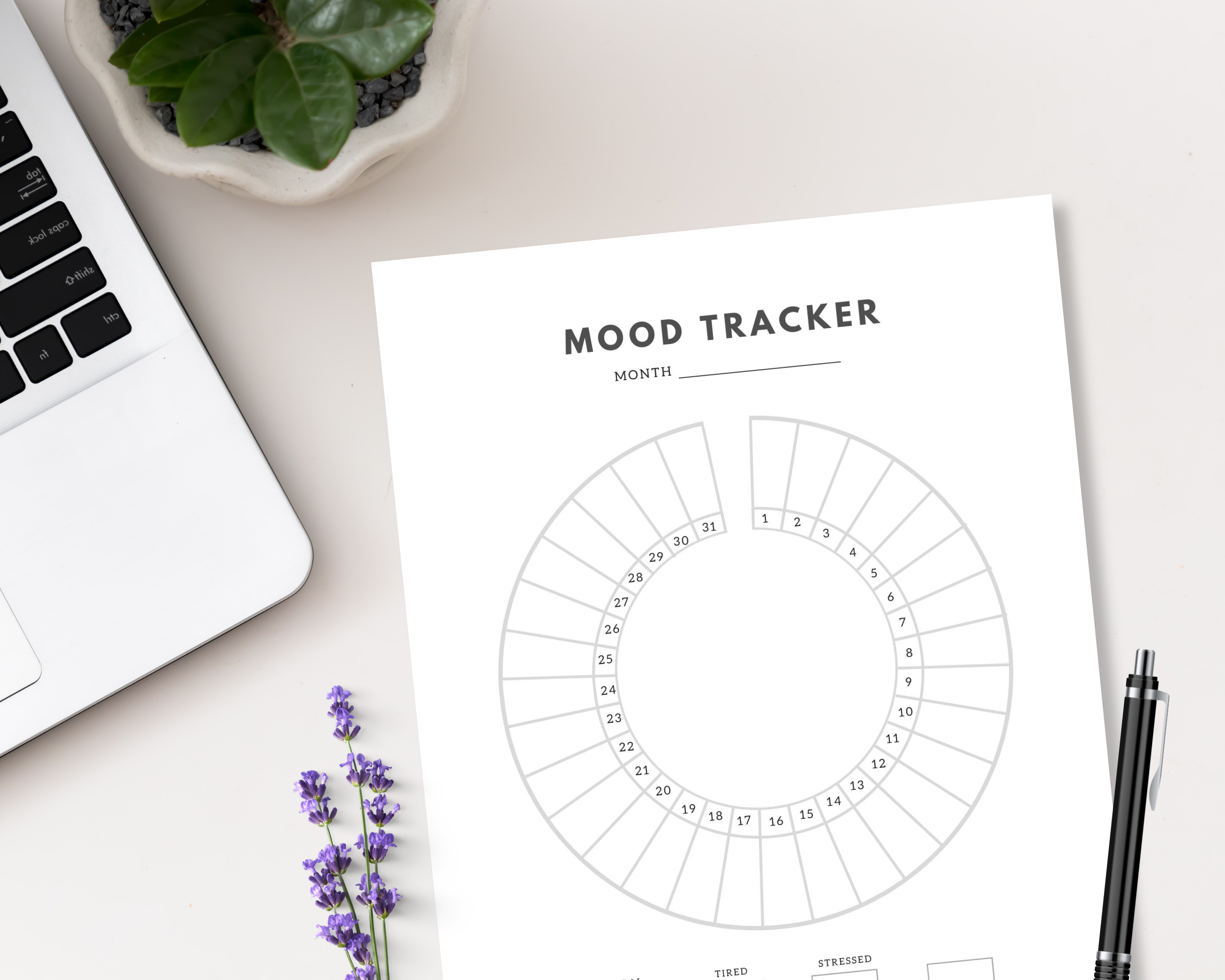 Mood Tracker, Instant Download Editable Canva, Digital Tracker Template