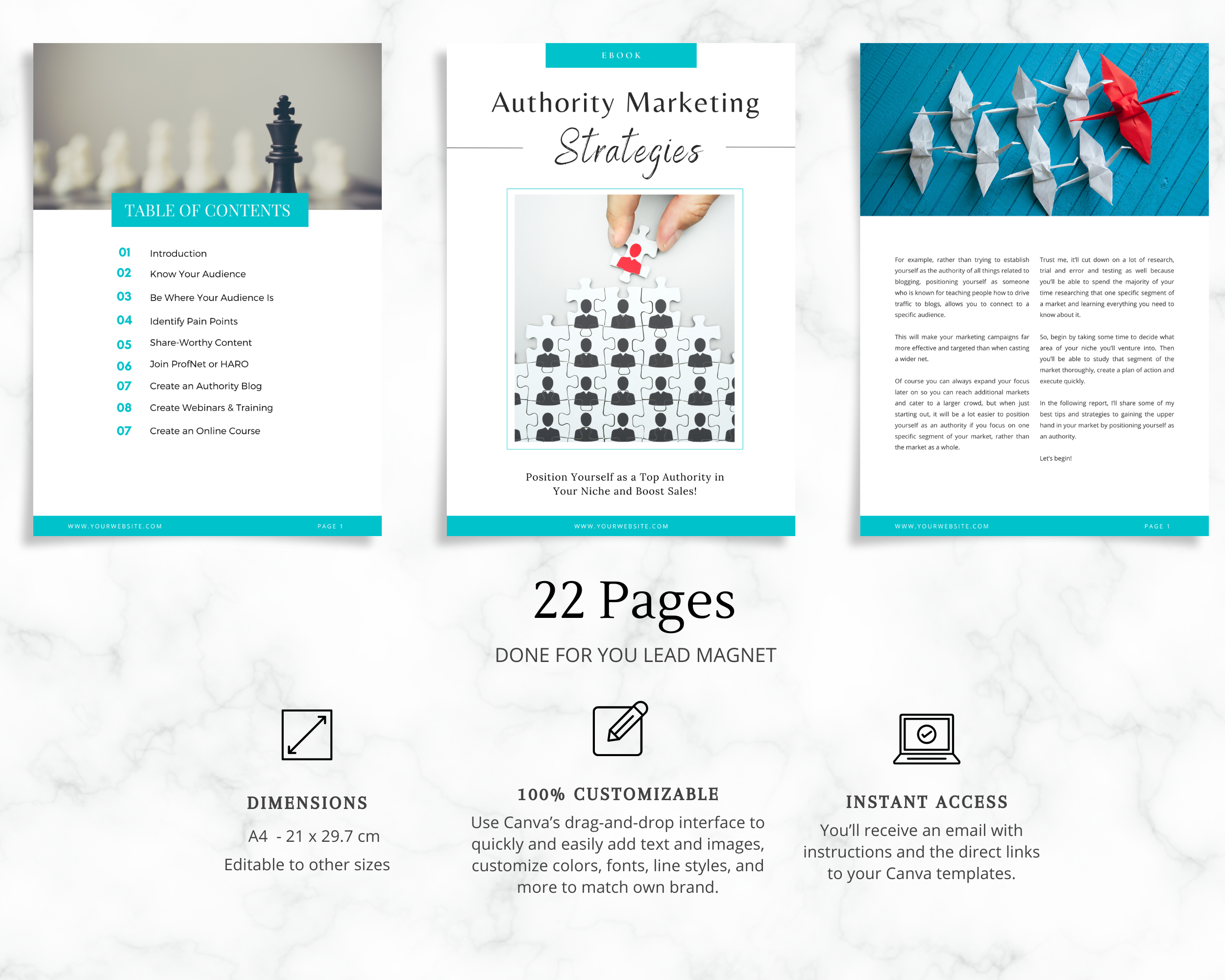 Authority Marketing Ebook