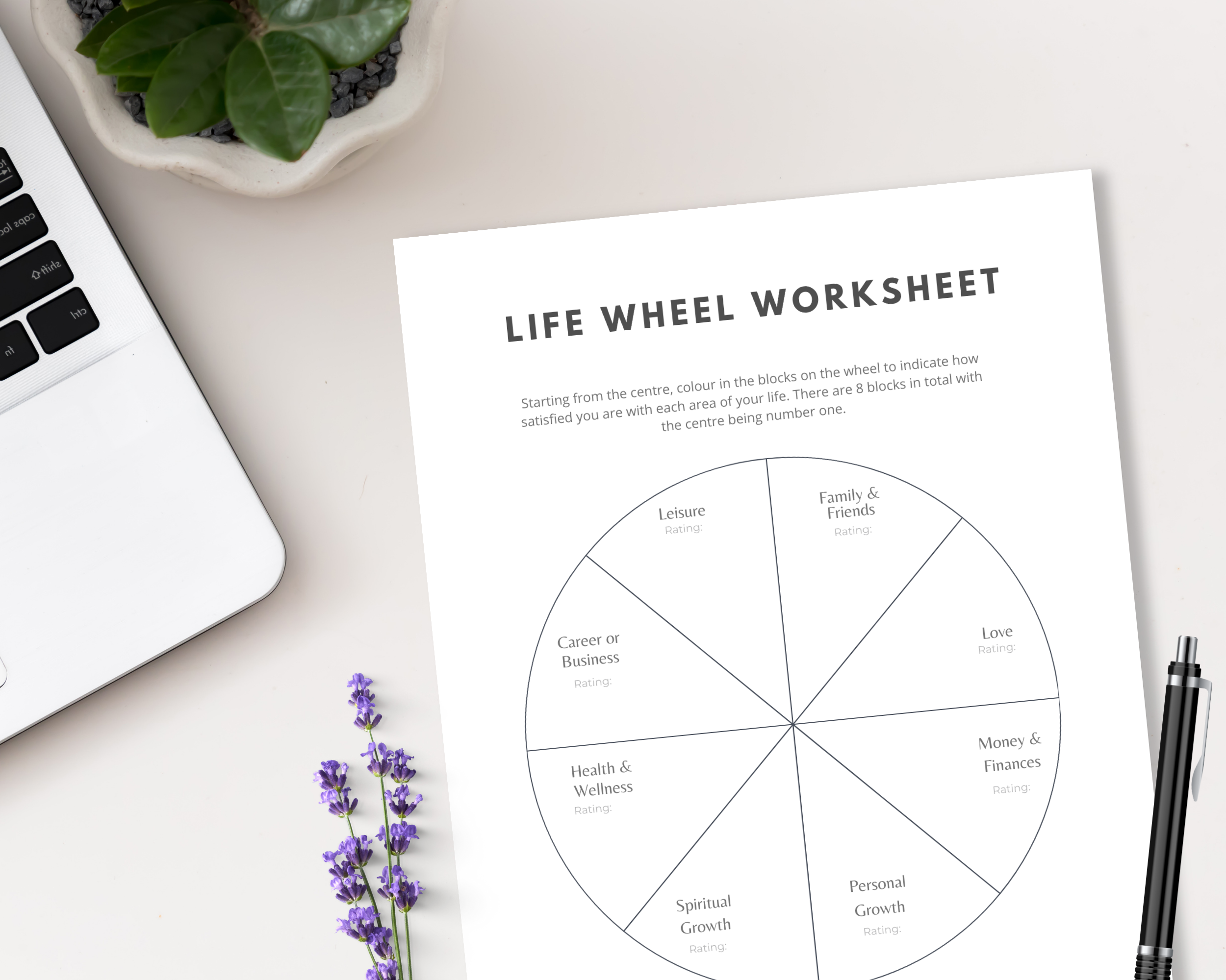 Life Wheel Worksheet