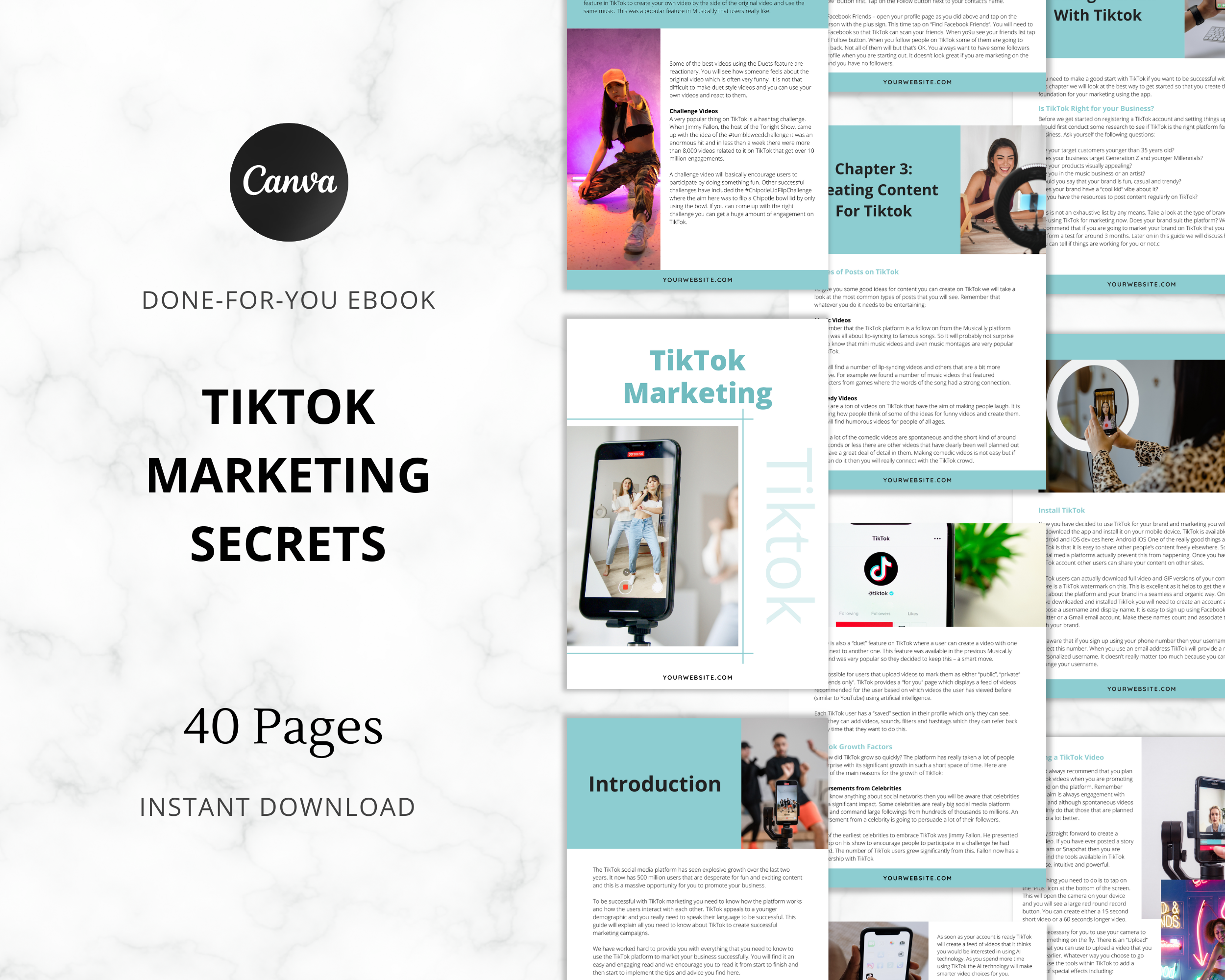 TikTok Marketing Secrets Ebook